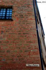 sergedelaive-600-bleves7.jpg