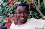 rdc_1994a.jpg