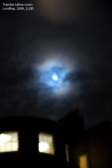 sergedelaive-907-fullmoonoverlondon.jpg