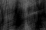 sergedelaive-728-foretabstarct.jpg