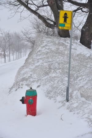 sergedelaive-202-quebec12.jpg