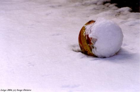 sergedelaive-108-hiver_2004.jpg