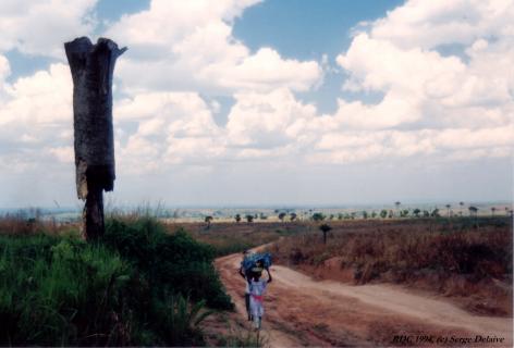 sergedelaive-354-rdc_1994g.jpg