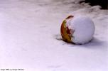 sergedelaive-108-hiver_2004.jpg
