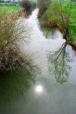 sergedelaive-142-meuse35.jpg