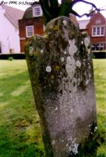 sergedelaive-222-rye_1998.jpg