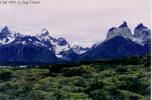 sergedelaive-292-chili_1993.jpg