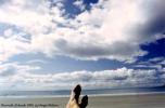 sergedelaive-603-mes_pieds.jpg