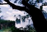 sergedelaive-649-iguazu_1993.jpg