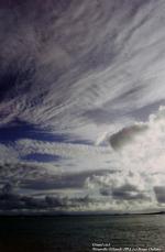sergedelaive-665-nz1493.jpg