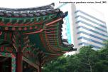sergedelaive-900-contrastseoul.jpg