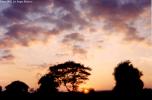 sergedelaive-965-laos2.jpg